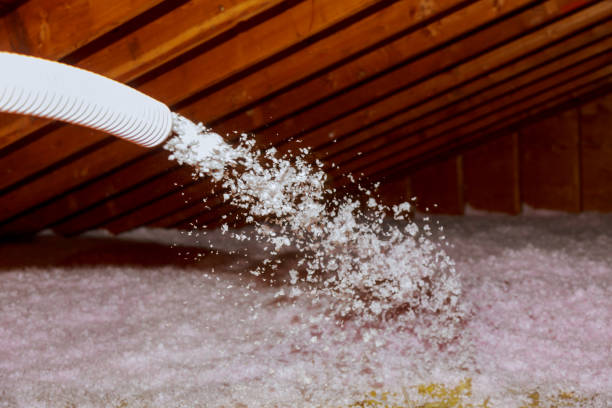 Best Home Insulation Services  in Portola, CA