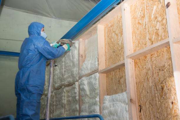 Best Insulation Removal  in Portola, CA